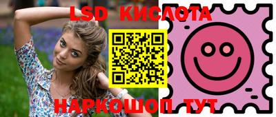 крисы Будённовск